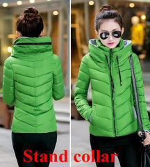 Cotton-Padded Winter Coat - Apparel Store Online