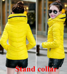 Cotton-Padded Winter Coat - Apparel Store Online