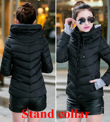 Cotton-Padded Winter Coat - Apparel Store Online