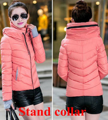 Cotton-Padded Winter Coat - Apparel Store Online