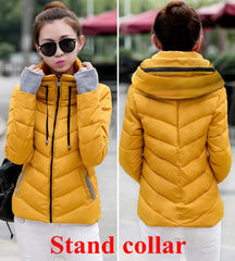 Cotton-Padded Winter Coat - Apparel Store Online